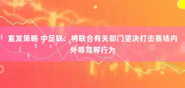 宣发策略 中足联：将联合有关部门坚决打击赛场内外辱骂等行为