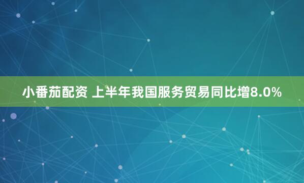 小番茄配资 上半年我国服务贸易同比增8.0%