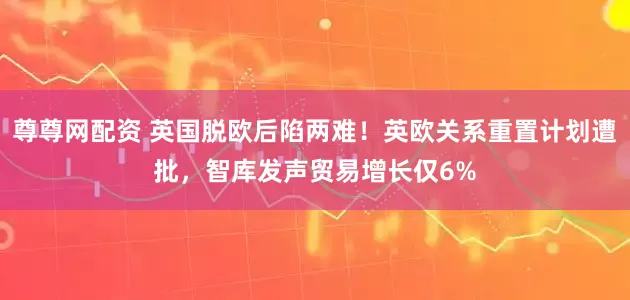 尊尊网配资 英国脱欧后陷两难！英欧关系重置计划遭批，智库发声贸易增长仅6%