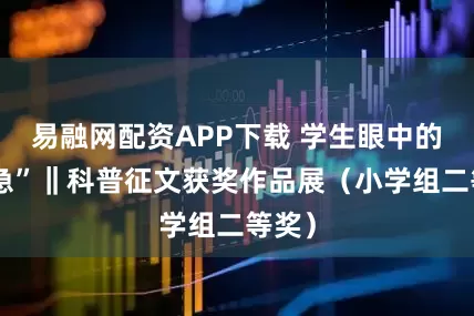 易融网配资APP下载 学生眼中的“应急”‖科普征文获奖作品展（小学组二等奖）