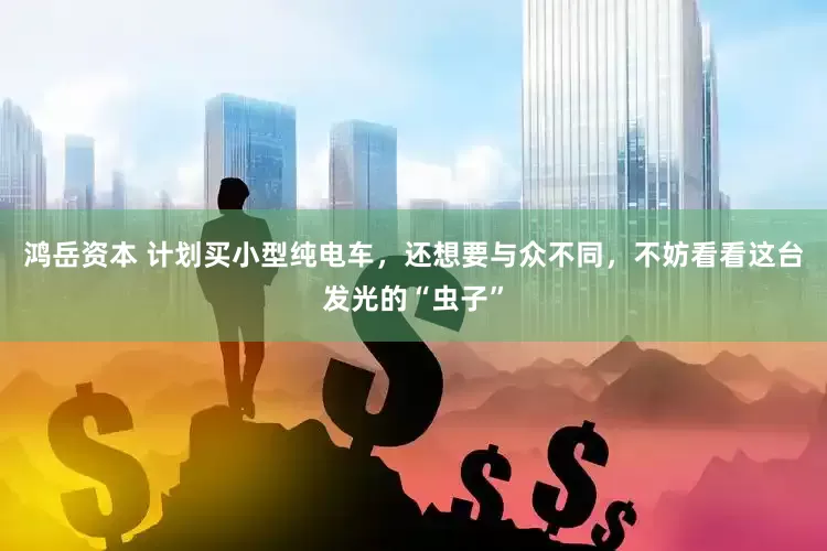 鸿岳资本 计划买小型纯电车，还想要与众不同，不妨看看这台发光的“虫子”